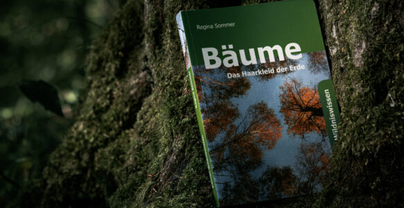 Buch Tipp: «Bäume – Das Haarkleid der Erde».